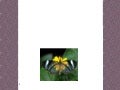 20090504   A   Interpersonal Relations