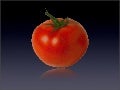 Agile Pomodoro Development