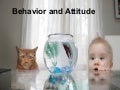 20090717   [1]   Behaviour And Attitude   21s