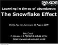 Learning in times of abundance:  The Snowflake Effect 