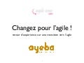20091015 AgileTour2009