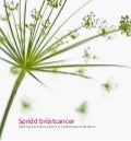 Spridd bröstcancer - information, råd och stöd till kvinnor och anhöriga