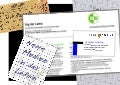 Neue Medien in der Lehre