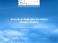 2010.11.26 - Avancée du SaaS dans le Secteur Banque Finance - Vi Lang - IBM - Forum SaaS et Cloud Metiers du Club Alliances