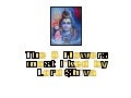 [20100212]   8 Flowers That Please Lord Shiva