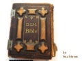 D.I.M. Bible