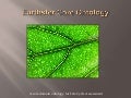 20100427 Earthster Core Ontology