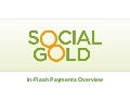 Social Gold In-Flash Payments Webinar