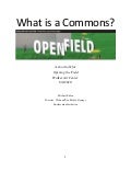 Michael Edson @ Walker Art Center: What is a Commons