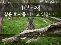 김충효, 10년째 같은 회사를 다니고 있습니다