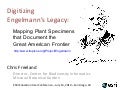 Digitizing Engelmann&rsquo;s Legacy