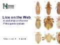 Lice on the Web: A workshop on the new Phthiraptera website