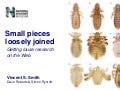 Small pieces loosely joined: getting louse research online.