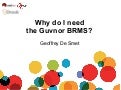 2011-03-29 London - Why do I need the guvnor BRMS?