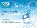 Estudio Integral del comercio electrónico en Argentina 2010