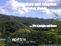 Agile Culture and Adoption Survival Guide @ Agile New England