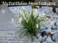 MyPortfolio: New features