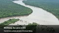 New species discovered every two days in the Mekong