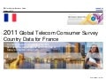 2011 Consumer Survey France