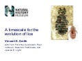 A timescale for the evolution of lice
