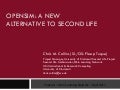 OpenSim: A New Alternative to Second Life