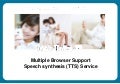 2011 web talks_english