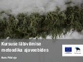 Kursuse läbiviimise metoodika ajaveebides
