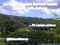 Agile adoption survival guide - working with culture
