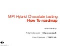 20120121 mpi hybrid chocolate workshop session BEconf13