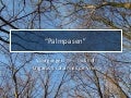 PalmPasen