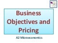 Business Objectives and Pricing