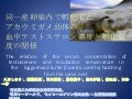 野生動物医学会2012 o 13, hatta