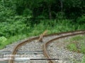 クラウド移住体験記