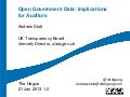 20130121 netherlands-auditors-1.0