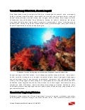 Terumbu Karang, Dilihat Boleh - Disentuh Jangan