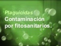 03-15-Intoxicacion por FITOSANITARIOS