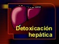 03-16-Defensa contra toxinas-Higado