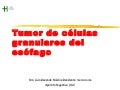 20 tumor de_celulas_granulares_de_esofago