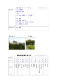 21.第九天.新天鵝堡