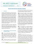 Issues Brief 8 - Reducing Disaster Risk and Building Resilience, UN-DESA