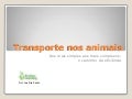 BioGeo10-transporte nos animais