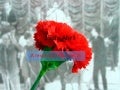 25 De Abril