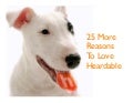 25 More Reasons To Love Heardable