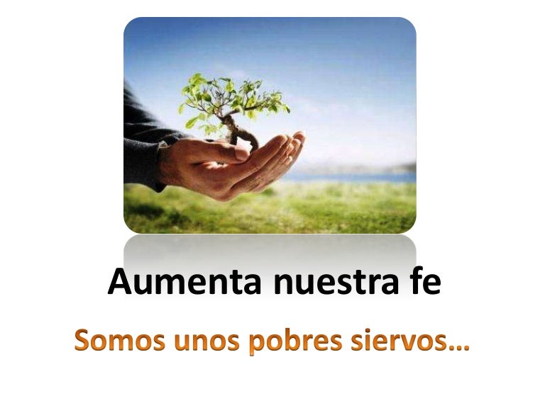Resultado de imagen para En aquel tiempo, los apóstoles le pidieron al Señor: «Auméntanos la fe.»