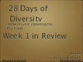 28 Days of Diversity - Week 1 in Review