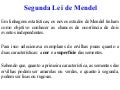 2a lei de mendel