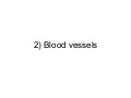 Chapter 8 Transport in Humans Lesson 2 - Types of blood vessels