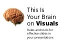 This Is Your Brain on Visuals 2may2012 