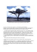SECHERESSE -La corne de l'Afrique en proie à une grave sécheresse