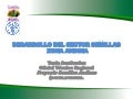 DESARROLLO DEL SECTOR SEMILLAS ZONA ANDINA
